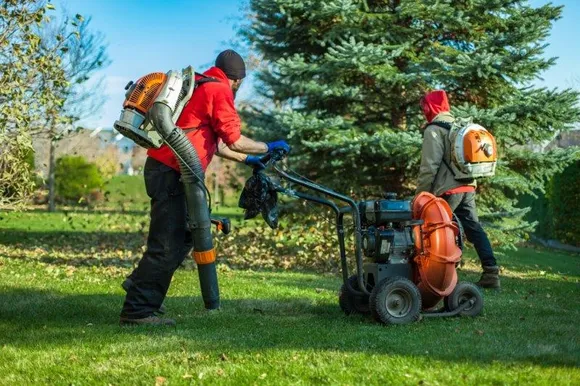 two guys doing clean up after tree removal