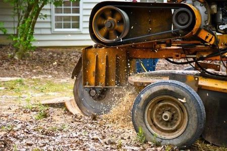 Stump Grinder