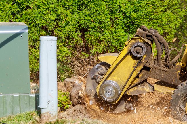 Stump Grinding in Cowesett (RI)