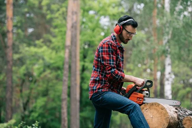 Tree Trimming