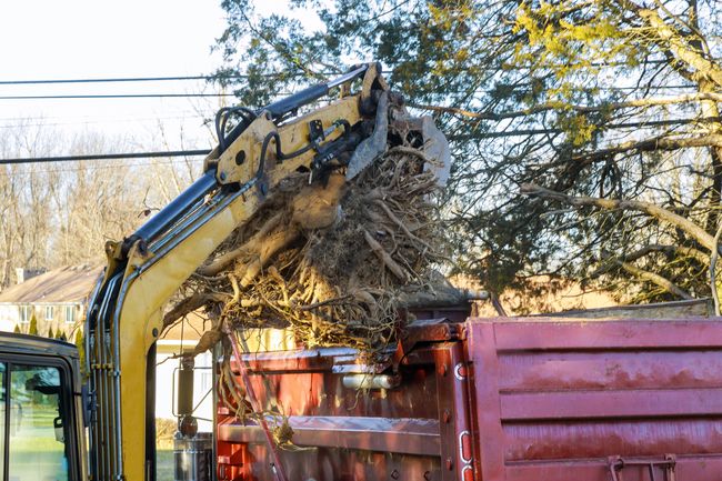 stump removal Warwick RI